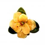 Gelb Stein Blüte 1 Stück ca.9 mal 9 cm Durchmesser man kann sie hängen oder Stellen 120 g. 